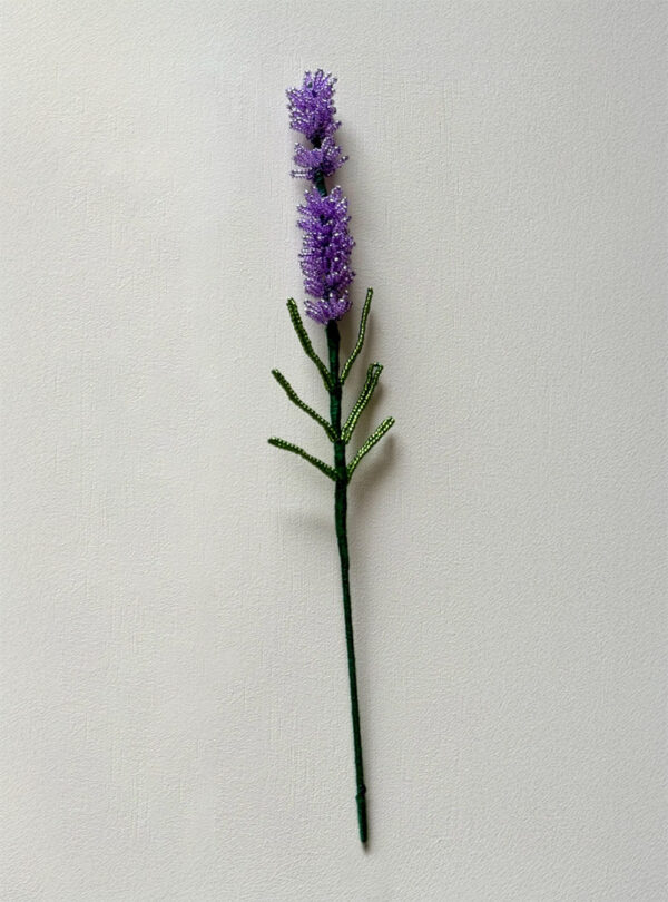 Lavendel